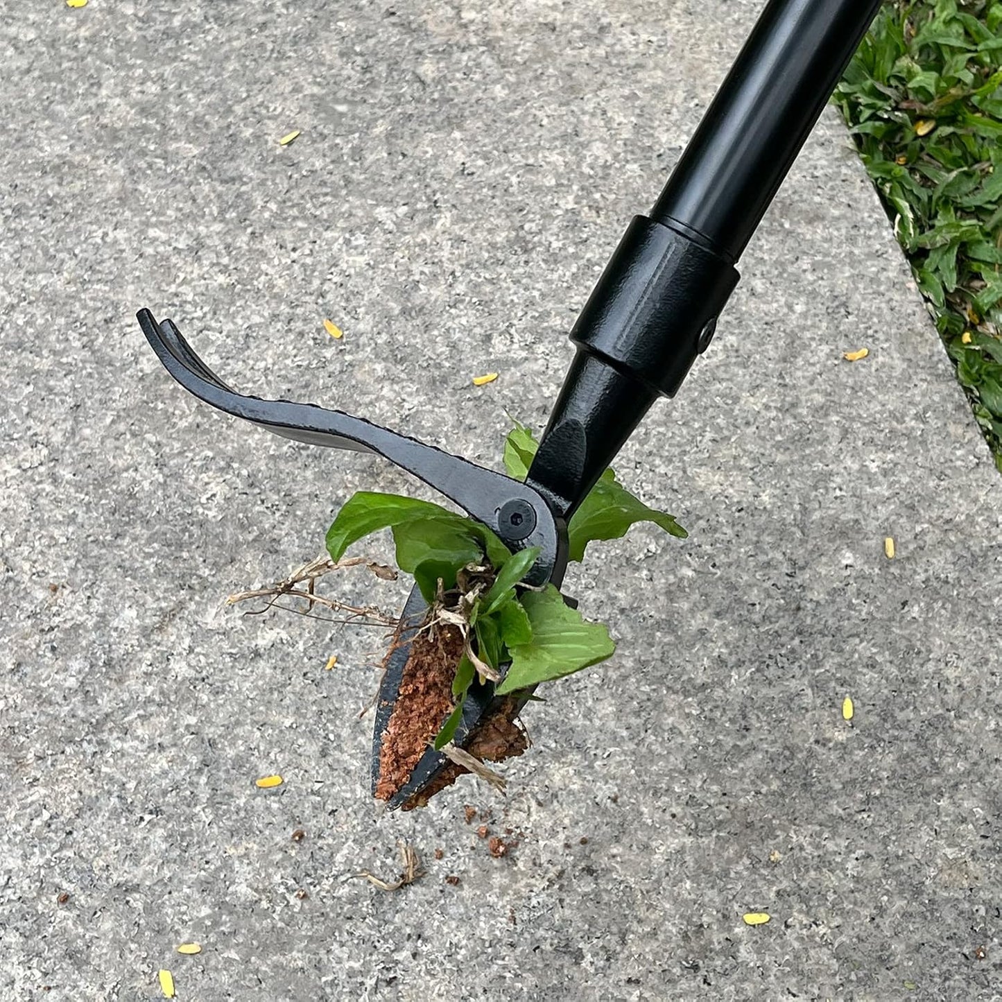 💥HOT SALE 47% OFF🔥-Detachable Stand Up Weed Puller