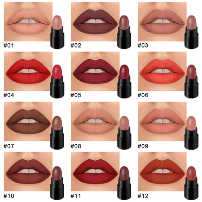 12Pcs Lipstick Mini Matte Lipstick Sets