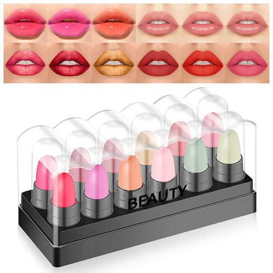 12Pcs Lipstick Mini Matte Lipstick Sets