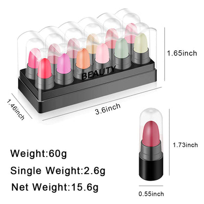 12Pcs Lipstick Mini Matte Lipstick Sets